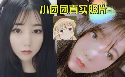 网红露脸爆料视频大全在线观看,揭秘网络红人真实一面